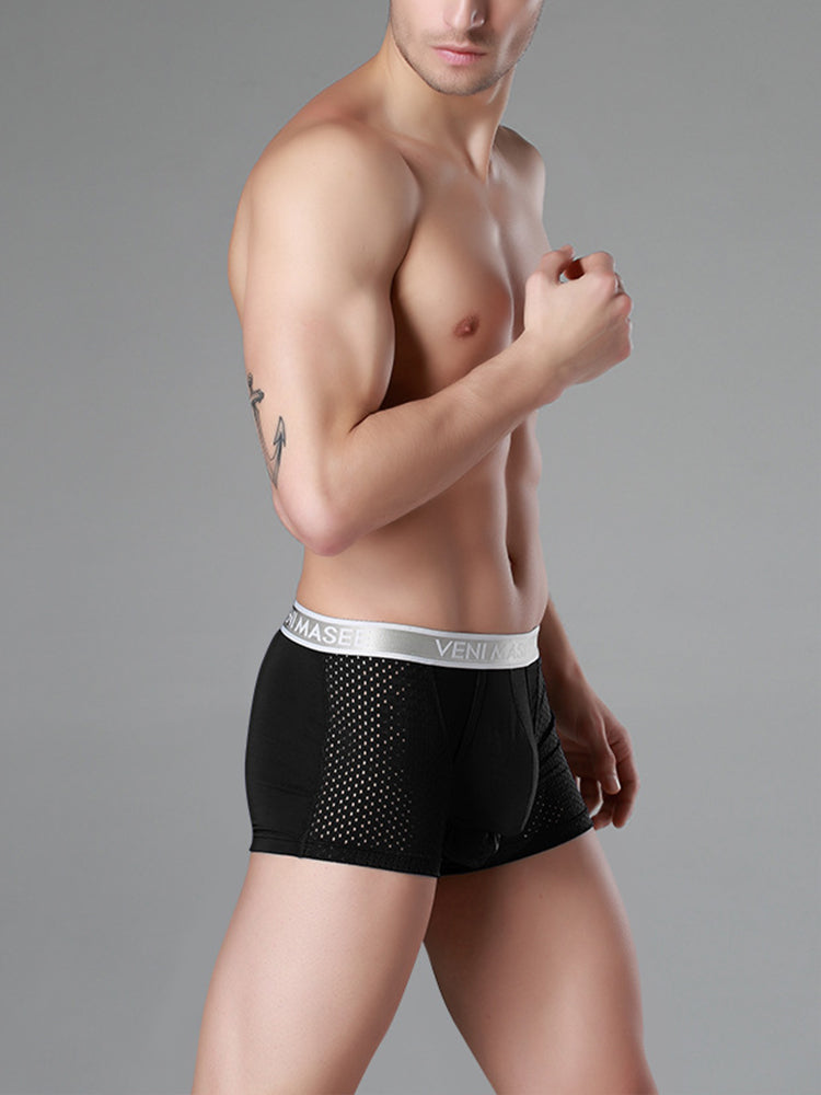 Men's Mesh Separate Pouch Trunks With Fly