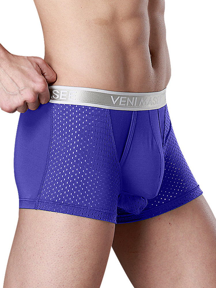 Men's Mesh Separate Pouch Trunks With Fly