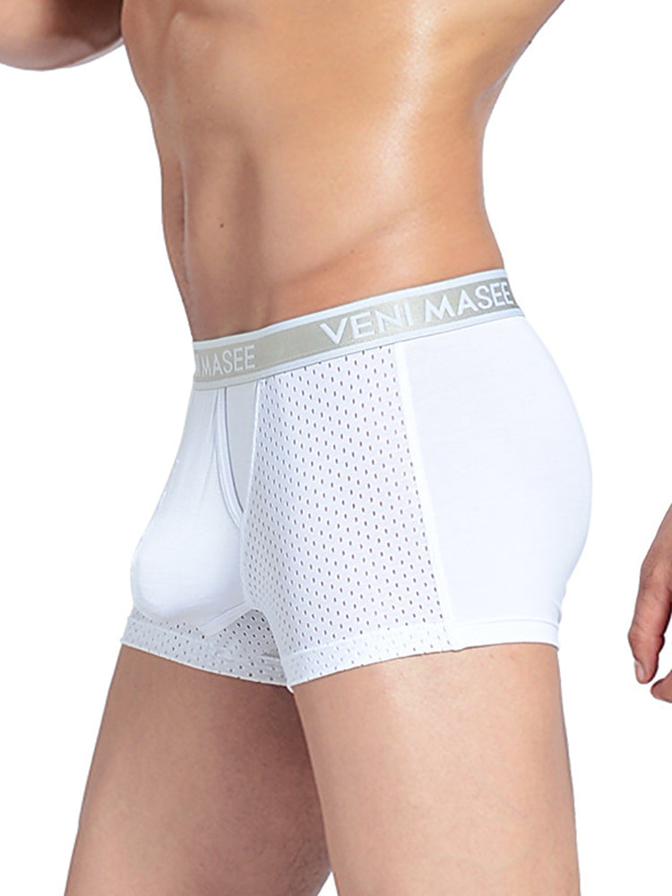 Men's Mesh Separate Pouch Trunks With Fly