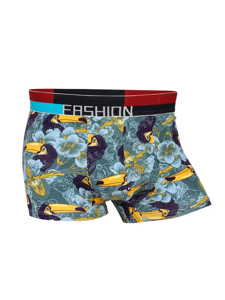4 Pack Men’s Large Pouch Fashion Cotton Trunks