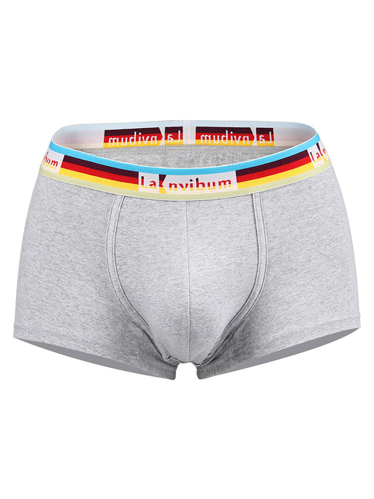 Men's Rainbow Waistband Big Pouch Trunks