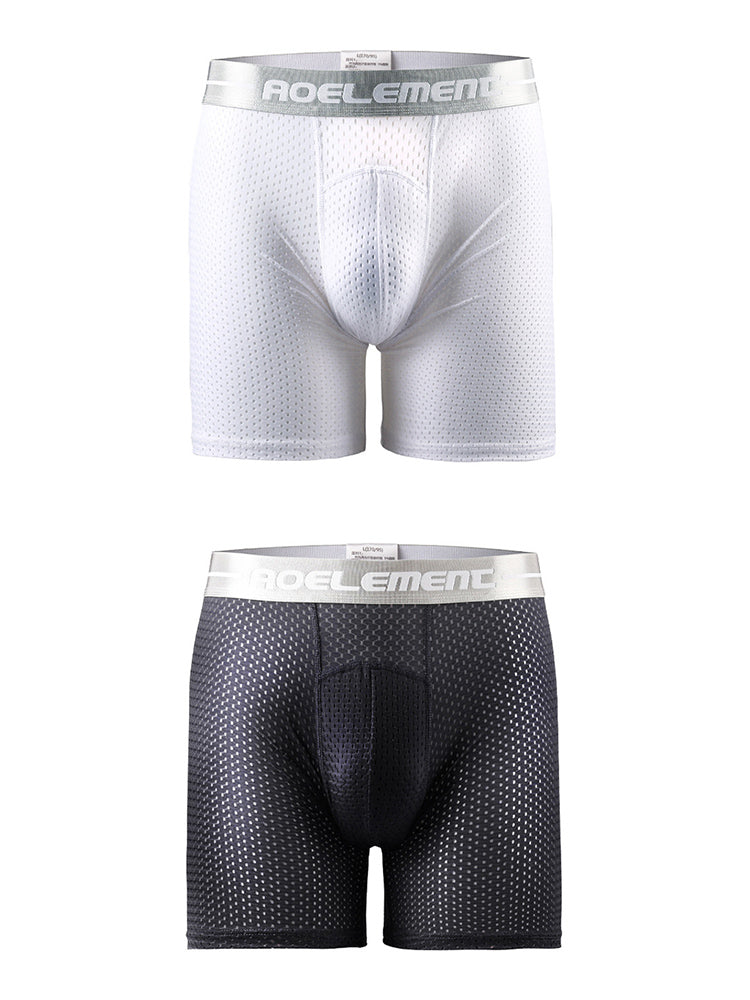 2 Pack Mesh Ice Silk Moisture Wicking Sport Boxer Underwear