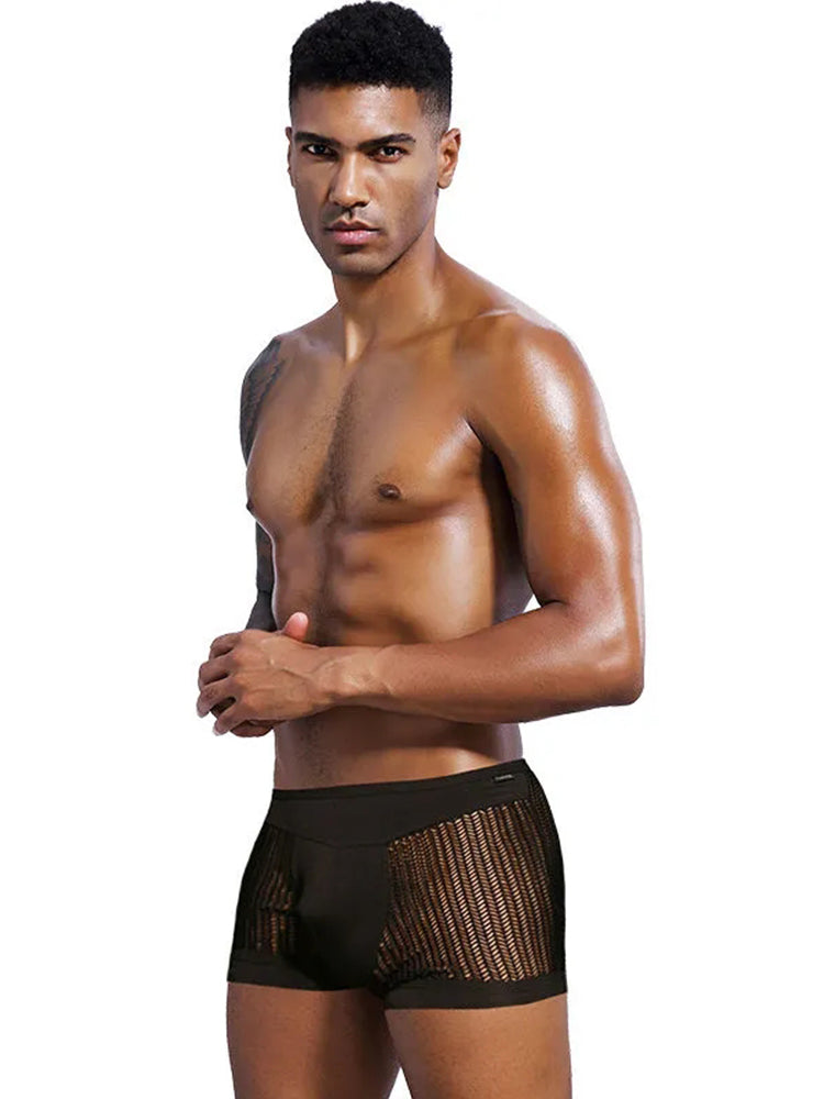 Men's Mesh Breathable Fabric Boxer Ultra-Thin Trunks