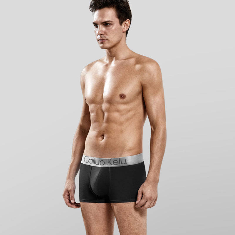 4 Pcs Men's Modal Individual package Boxer Briefs