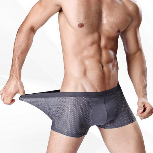 4Pcs Mesh Breathable Ice Silk Underwear Boxer