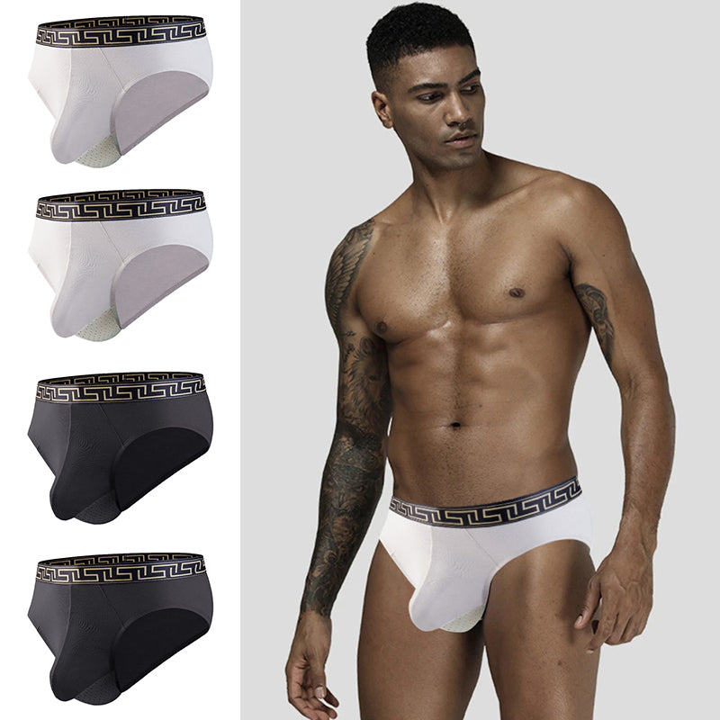 4 Pack Separate Dual Pouch Men's Briefs