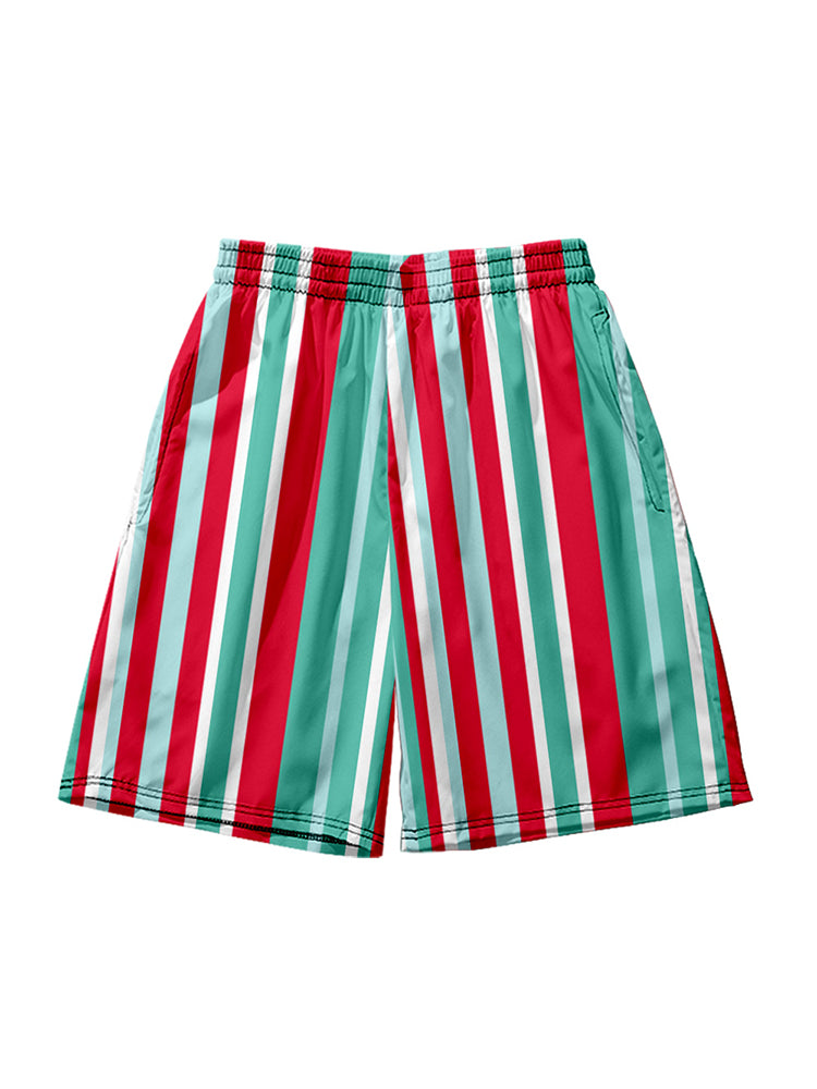 Men's Multicolor Stripe Leisure Swim Shorts