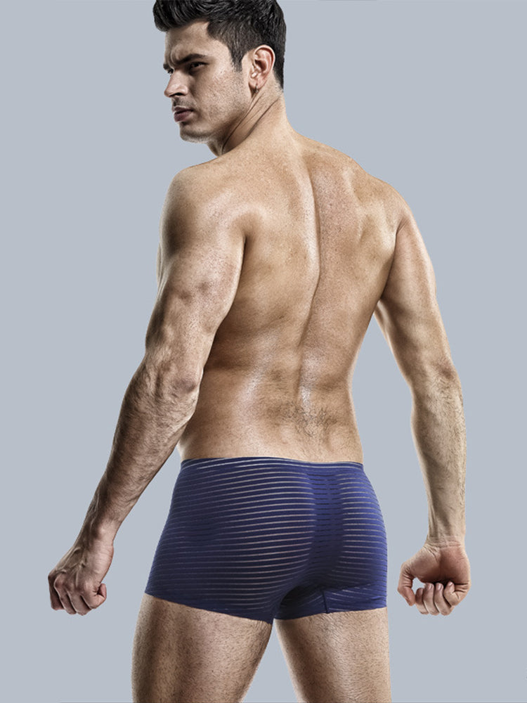 2 Pack Silk Striped Men's Super Thin Underwear