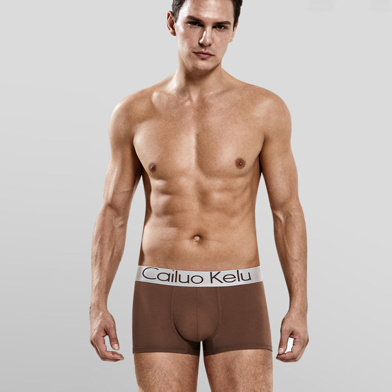 4 Pcs Men's Modal Individual package Boxer Briefs