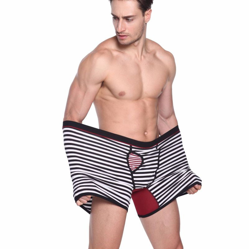 Men's Striped Plus Size Boxer Brief Fly Front with Pouch