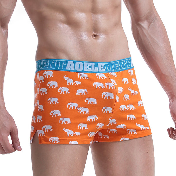 Men's Arrow Pants Loose Printed Shorts