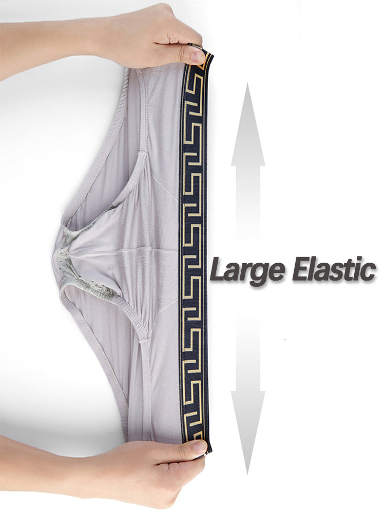 4 Pack Separate Dual Pouch Men's Briefs