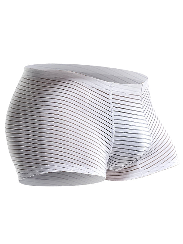 2 Pack Silk Striped Men's Super Thin Underwear