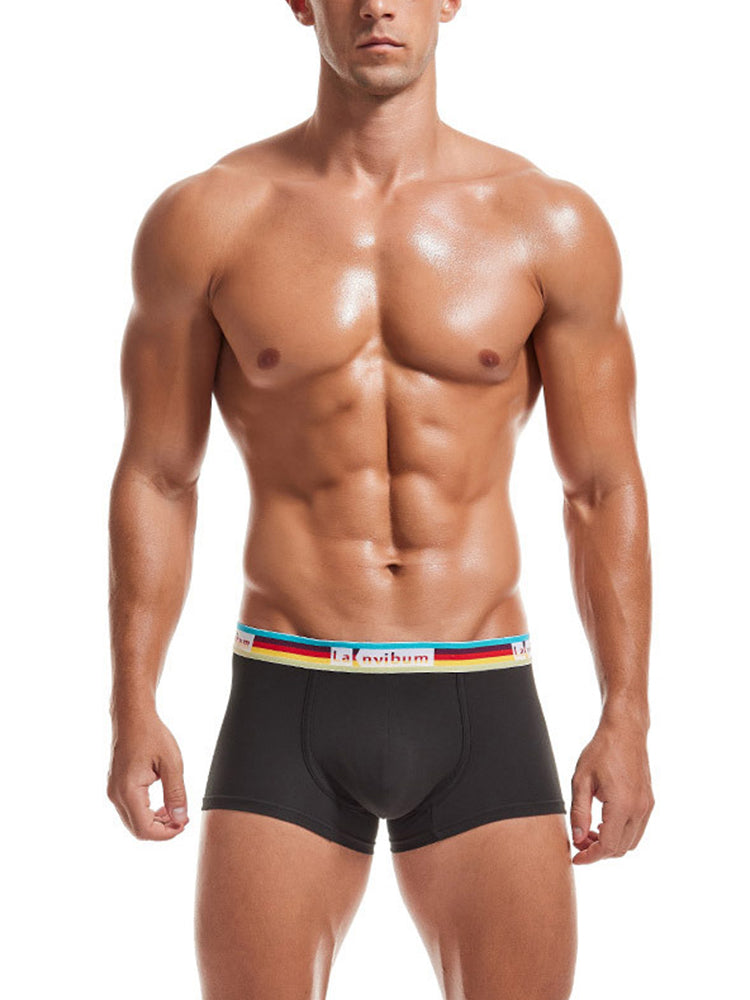 Men's Rainbow Waistband Big Pouch Trunks