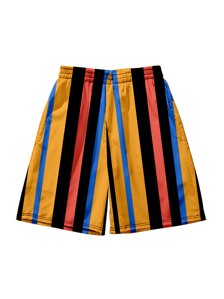 Men's Multicolor Stripe Leisure Swim Shorts