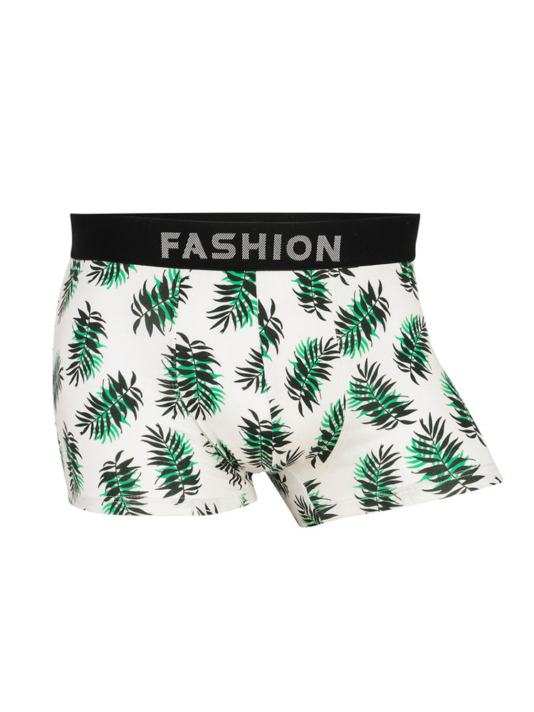 4 Pack Men’s Large Pouch Fashion Cotton Trunks